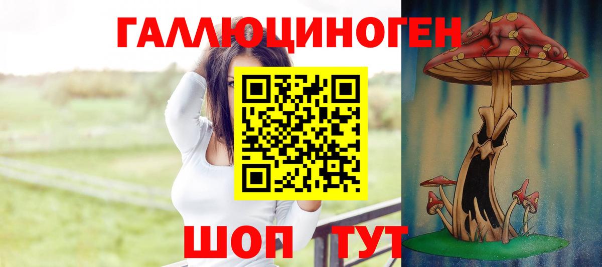 Псилоцибиновые грибы Cubensis  Галлюциногенные грибы прущие грибы  Вход с VPN  Майский 