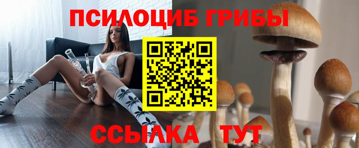 Псилоцибиновые грибы Magic Shrooms Майский